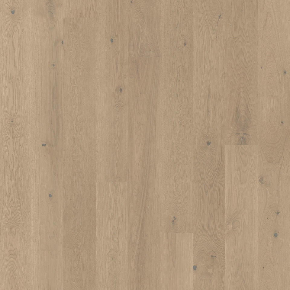 TH_Wood_Grace_Oak_Beige_Cashmere_Plank_XT_7877069_001 Tarkett Grace Oak Beige Cashmere Plank Xt 1 Strip Lamine Parke - Görsel 1