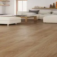 Aden 6004