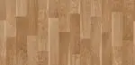Diba Meşe - 3040 - Görsel 2