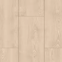 Flores 6006 2