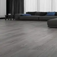 Karpat 6001