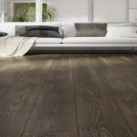 Palmira 6000