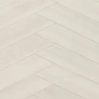 Salda 8003 2