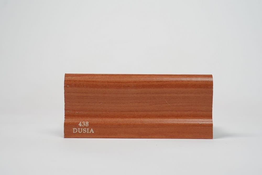 438-DUSIA.jpg 438 DUSİA - Görsel 1